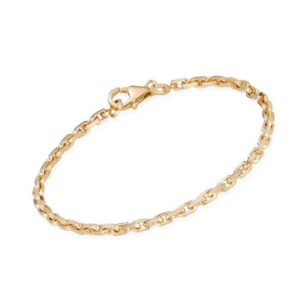 14 ct Anchor Facet Gold Bracelet, 17 cm and 2,5 mm (thread 1,0 mm) with lobster clasp